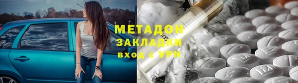 гашик Алексин