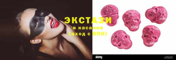 гашик Алексин