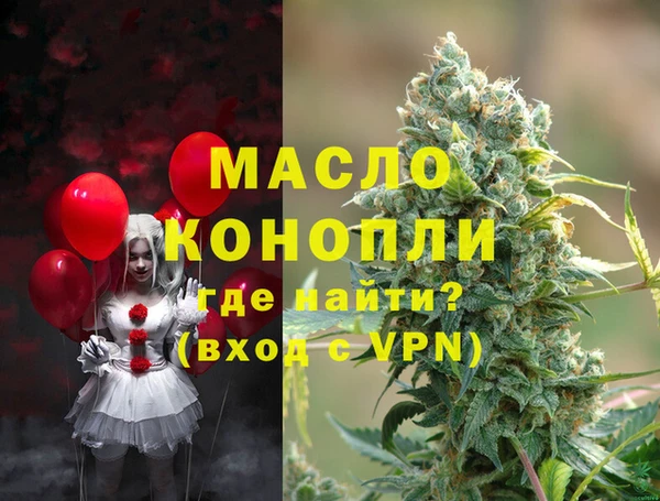 гашик Алексин