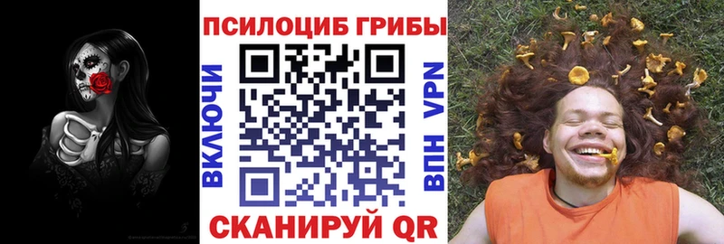 Галлюциногенные грибы Cubensis  сколько стоит  Нарьян-Мар 