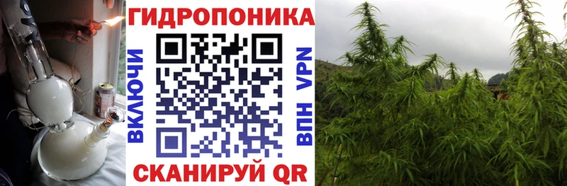Бошки марихуана THC 21%  Нарьян-Мар 